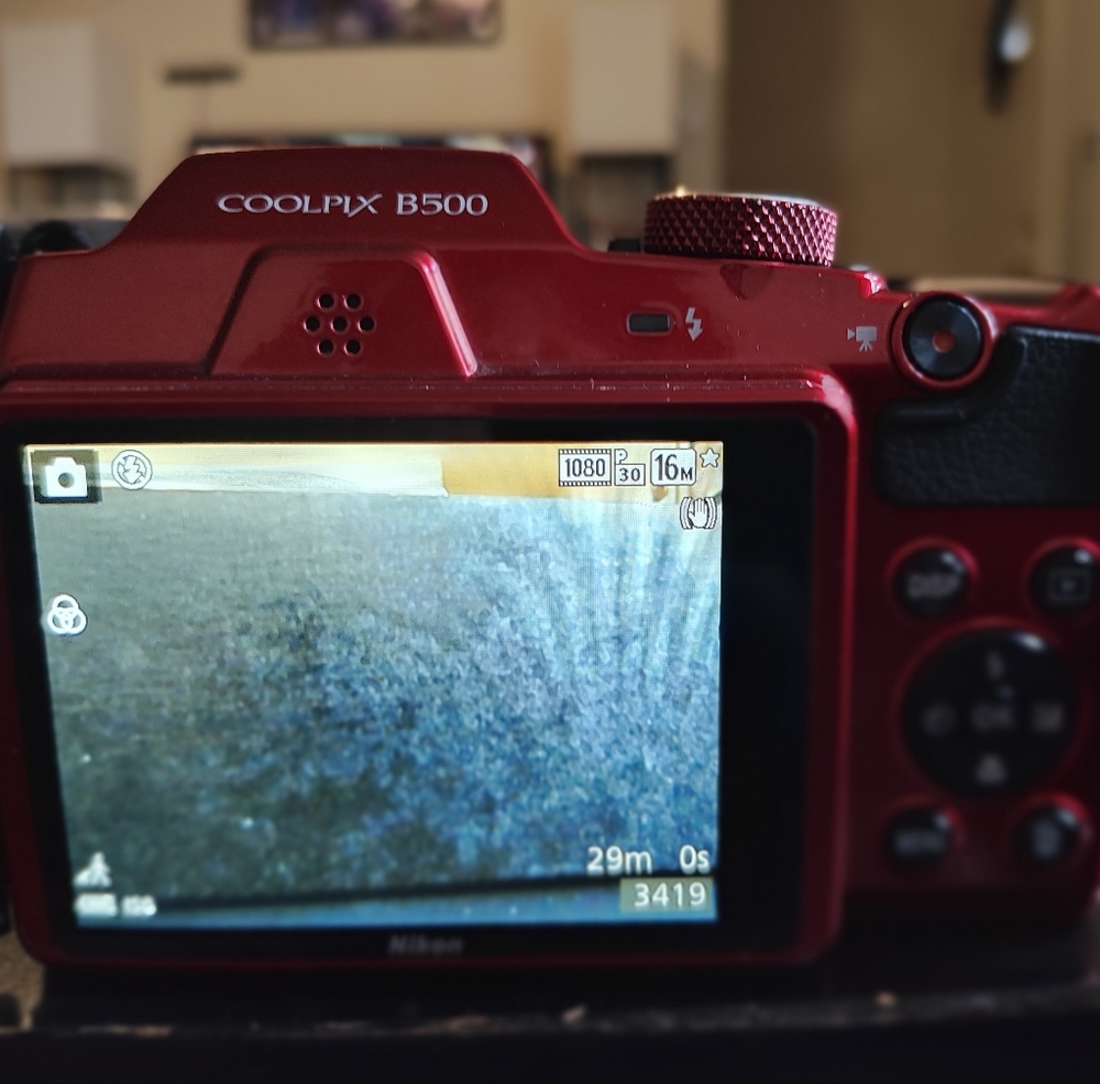 Nikon Vibrant Red Digital Camera with 40x Wide Optical Zoom - Picture 6 of 9